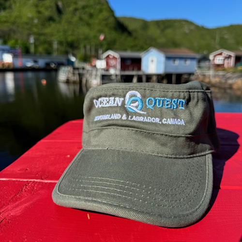 Ocean Quest Fidel Cap - Stone